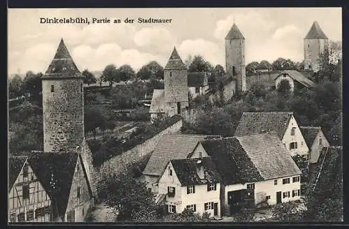 AK Dinkelsbühl, Partie an der Stadtmauer
