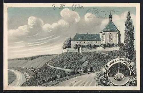 AK Volkach, Blick zum Kloster Vogelsburg, Spezialität der Vogelsburg