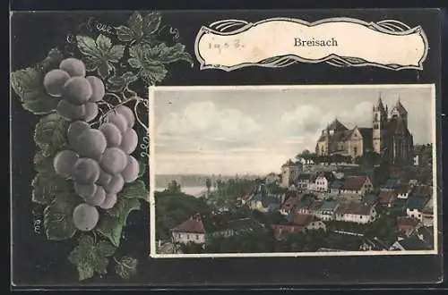 AK Breisach, Totalansicht, Weintrauben