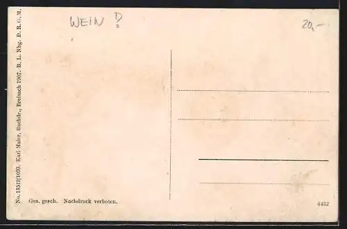 AK Breisach, Totalansicht, Weintrauben