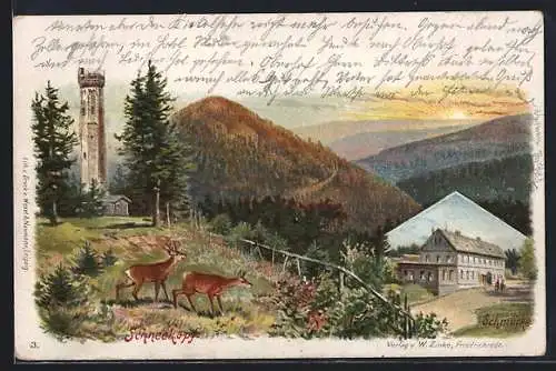 Lithographie Gehlberg, Panoramablick vom Schneekopf mit Aussichtsturm, Schmücke