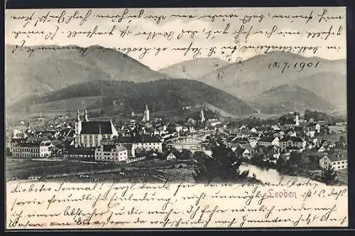 AK Leoben, Panorama