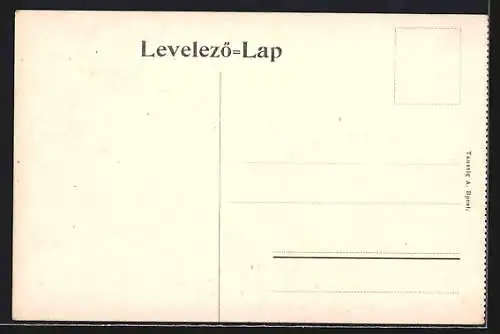 AK Budapest, Váczi körut, Waitzner-Ring, Strassenbahn, Pferdekutsche