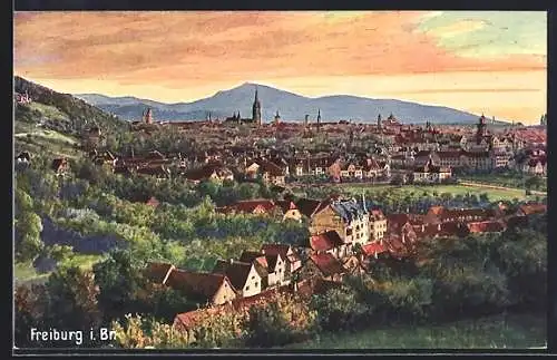 Künstler-AK Freiburg / Br., Ortspanorama