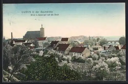 AK Guben, Blick v. Sanssouci auf die Stadt