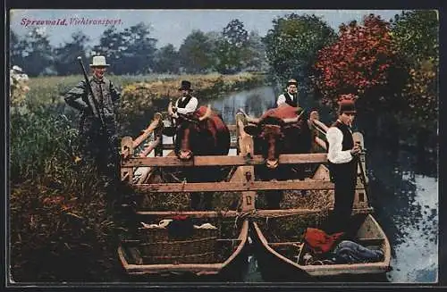 AK Spreewald, Viehtransport mit Kähnen