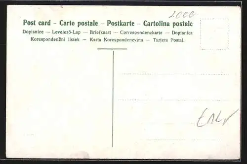 Lithographie Hamburg-Neustadt, Justiz-Palast, Flussidylle