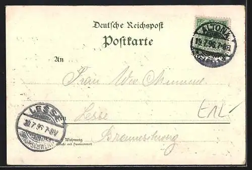 Lithographie Hamburg-Neustadt, Alter Jungfernstieg, Rathaus, Mädchen in Trachten
