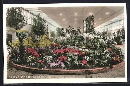 AK Berlin, Die Grüne Woche 1958, Innenbeet mit Blumen