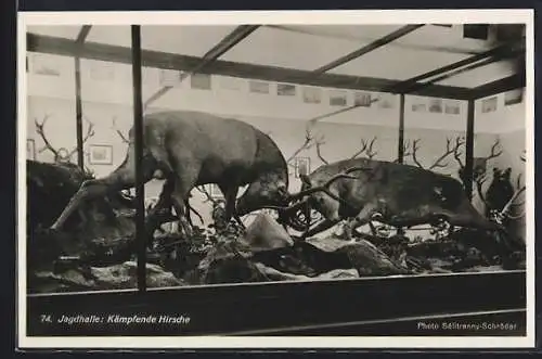 AK Leipzig, Internationale Pelz- und Jagd-Ausstellung 1930