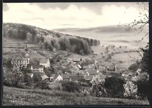 AK Stralsbach b. Bad Kissingen, Ortsansicht im Frühjahr