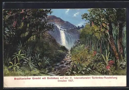 AK Dresden, III. Internationale Gartenbau-Ausstellung 1907, Brasilianischer Urwald mit Orchideen