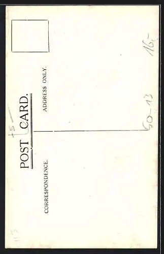 Künstler-AK Taube der Rasse Red Jacobin