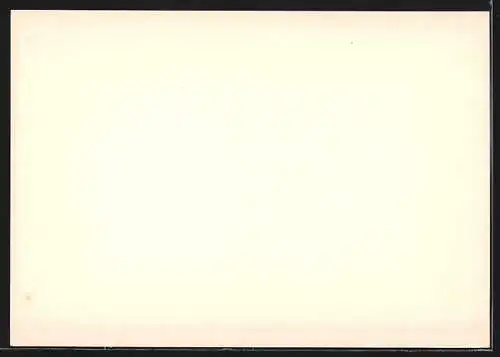 AK Berlin, Wahl des Bundespräsidenten 1954, Brandenburger Tor