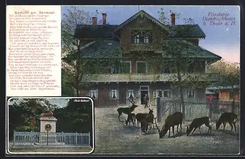 AK Thale, Dambachhaus, Hirsche, Pfeils Denkmal