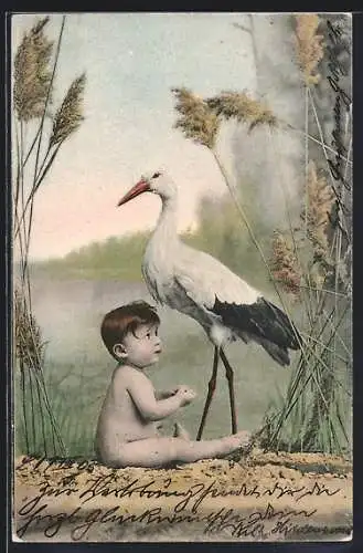 AK Ein kleines Kind mit einem Storch am Ufer