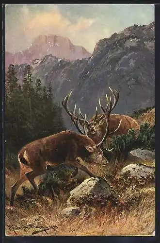 Künstler-AK M. Müller jun.: kämpfende Hirsche