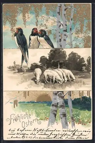 AK Fröhliche Ostern!, Vögel, Lämmer und aufgehende Sonne