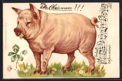 AK Schwein auf einer Blumenwiese frisst ein Kleeblatt