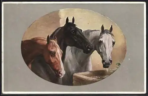 Künstler-AK Carl Reichert: drei bildschöne Pferde in verschiedensten Farben an einem Wassertrog
