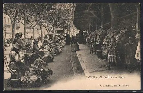 AK Cannes, Marché aux fleurs animé sous les arbres