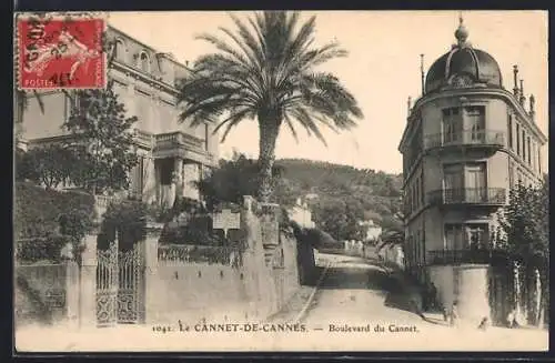AK Le Cannet, Boulevard du Cannet avec palmiers et bâtiments historiques