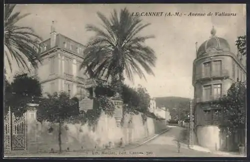 AK Le Cannet, Avenue de Vallauris avec palmiers et bâtiments élégants