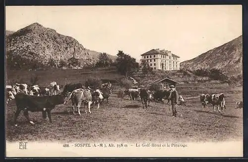 AK Sospel, Le Golf-Hôtel et le Pâturage avec des vaches dans le pré