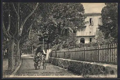 AK Saint-Martin-Vésubie, Allée des Platanes et le Grand-Hôtel