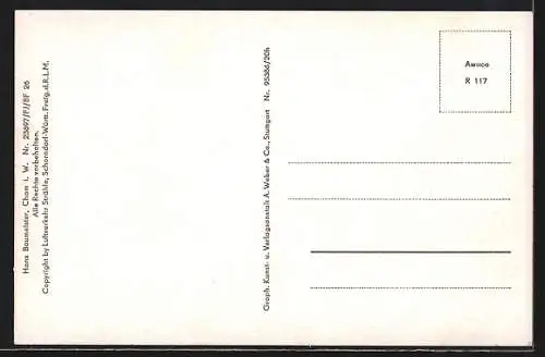 AK Cham /Bay. Wald, Ortsansicht vom Flugzeug aus