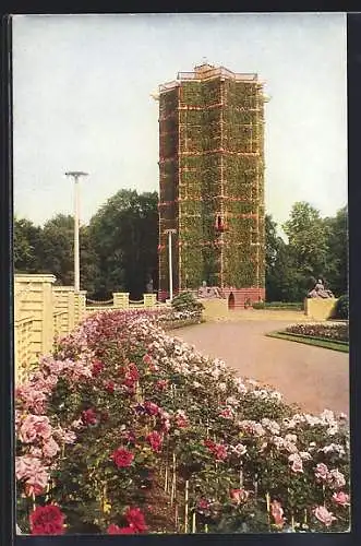 AK Dresden, Jubiläums-Gartenbau-Ausstellung 1926, Der grüne Dom