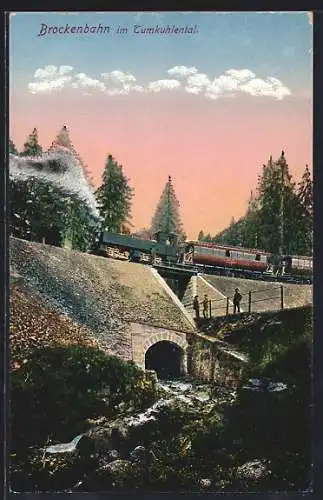 AK Wernigerode, Brockenbahn im Tumkuhlental
