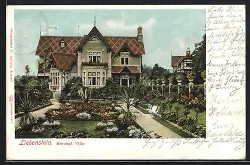 AK Liebenstein / Thür., Herzogl. Villa