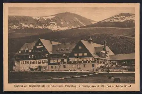 AK Teichmannbaude mit Schneekoppe und Brückenberg