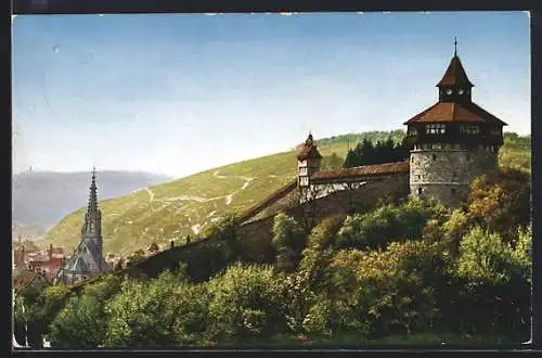 AK Esslingen am Neckar, Blick auf die Burg