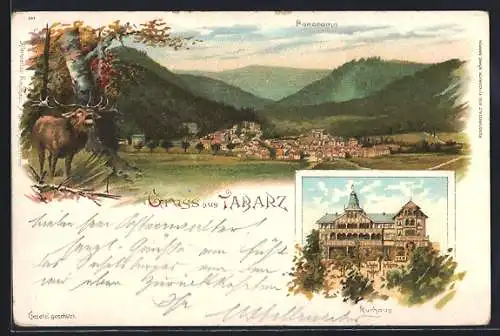 Lithographie Tabarz, Kurhaus, Panorama