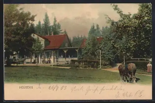 AK Friedrichroda, Gasthof Heuberg