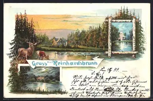 Lithographie Reinhardsbrunn, Ortsansicht, Schloss, Hirsch