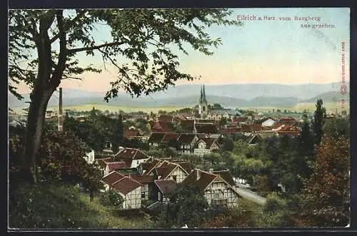 AK Ellrich a. Harz, vom Burgberg aus gesehen