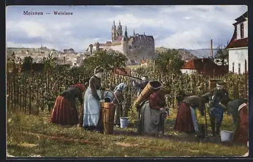 AK Meissen, Weinlese, Blick zur Stadt