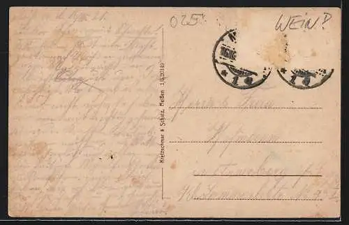 AK Meissen, Weinlese, Blick zur Stadt