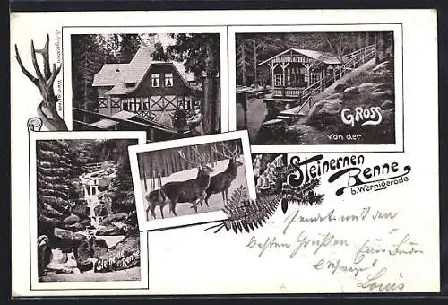 AK Steinerne Renne b. Wernigerode, Blick auf Bach, Bürgerhaus, Hirsche