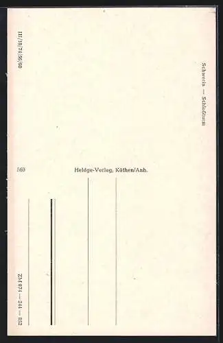 AK Schwerin / Meckl., Schlossturm mit Umgebung