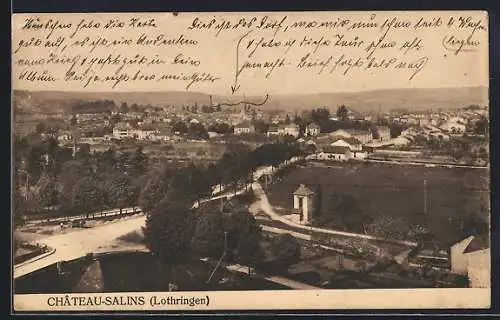 AK Chateau-Salins, Ansicht von oben, Strassenbild
