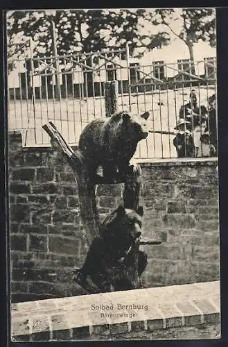 AK Bernburg, Partie am Bärenzwinger