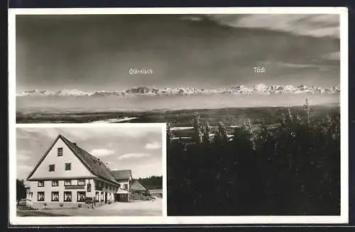AK Eisenbach / Schwarzwald, Gasthof-Pension zum Hirschen, Alpen-Panorama mit Glärnisch und Tödi