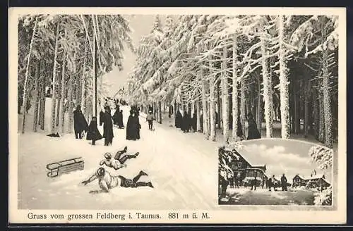 AK Feldberg / Taunus, Partie auf dem Feldberg, Schlittenfahrer