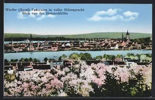 AK Werder / Havel, Panorama in voller Blütenpracht, Blick von der Bismarckhöhe, Kirche