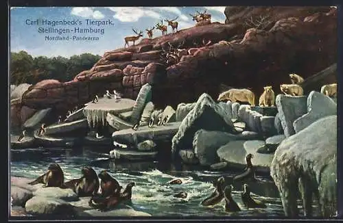 AK Hamburg-Stellingen, Carl Hagenbecks Tierpark, Nordland-Panorama, Seehunde, Walrosse, Eisbären, Pinguine