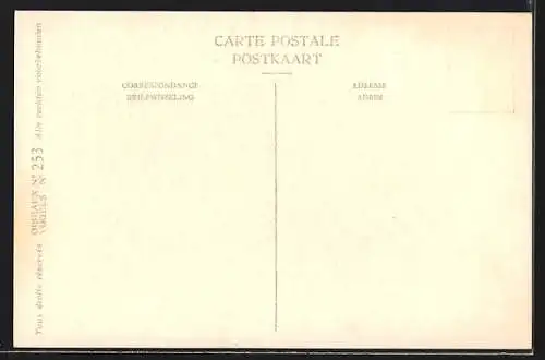 Künstler-AK Hubert Dupond: Basstölpel mit Jungvogel